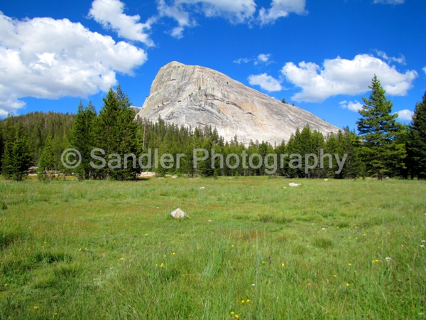 http://www.sandlerphotography.com/Photos/July 2010 079 - 2 - LR.JPG